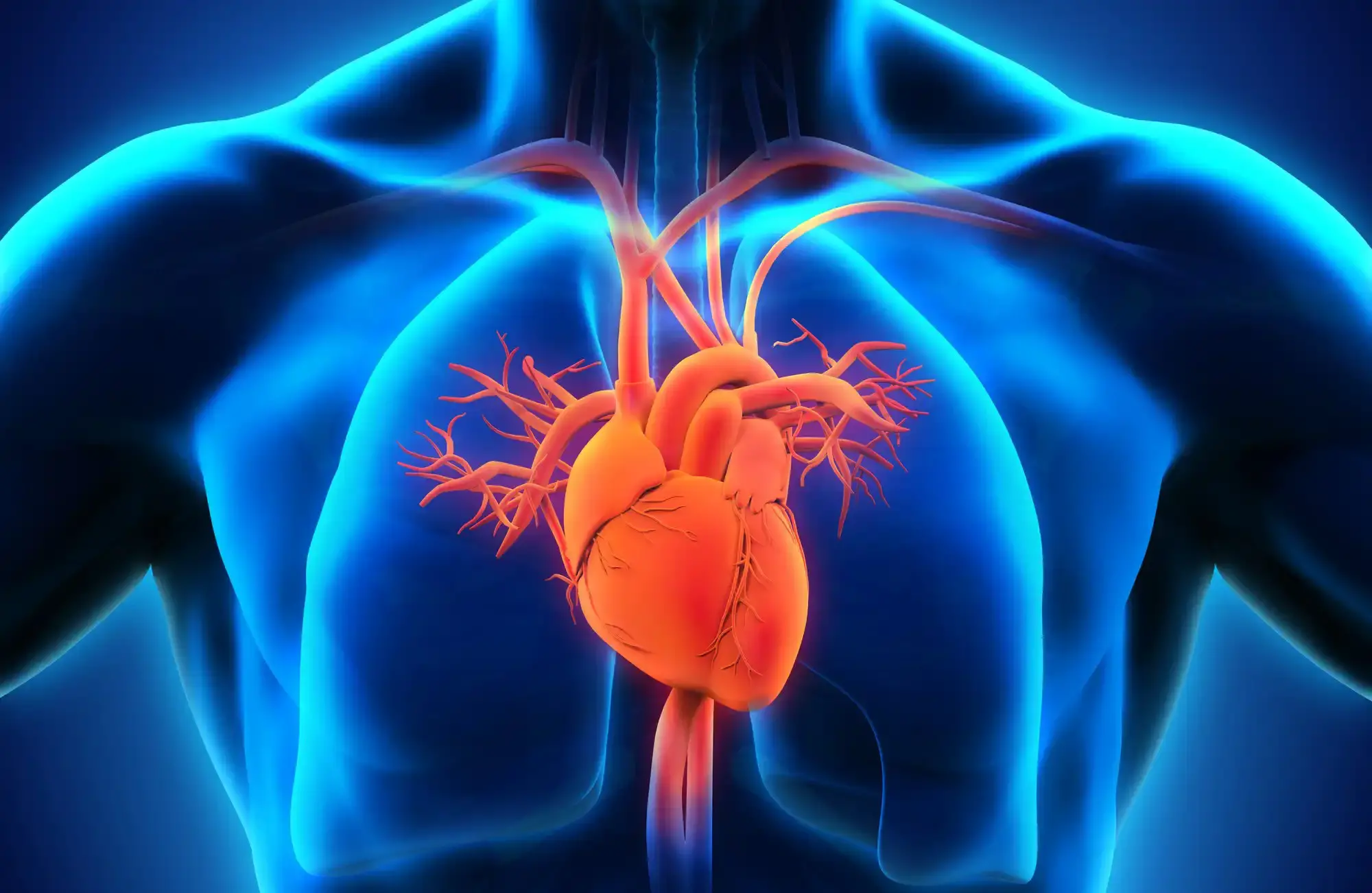 Toprol XL: The Chill Pill That Slows Your Heart and Speeds Up Calm